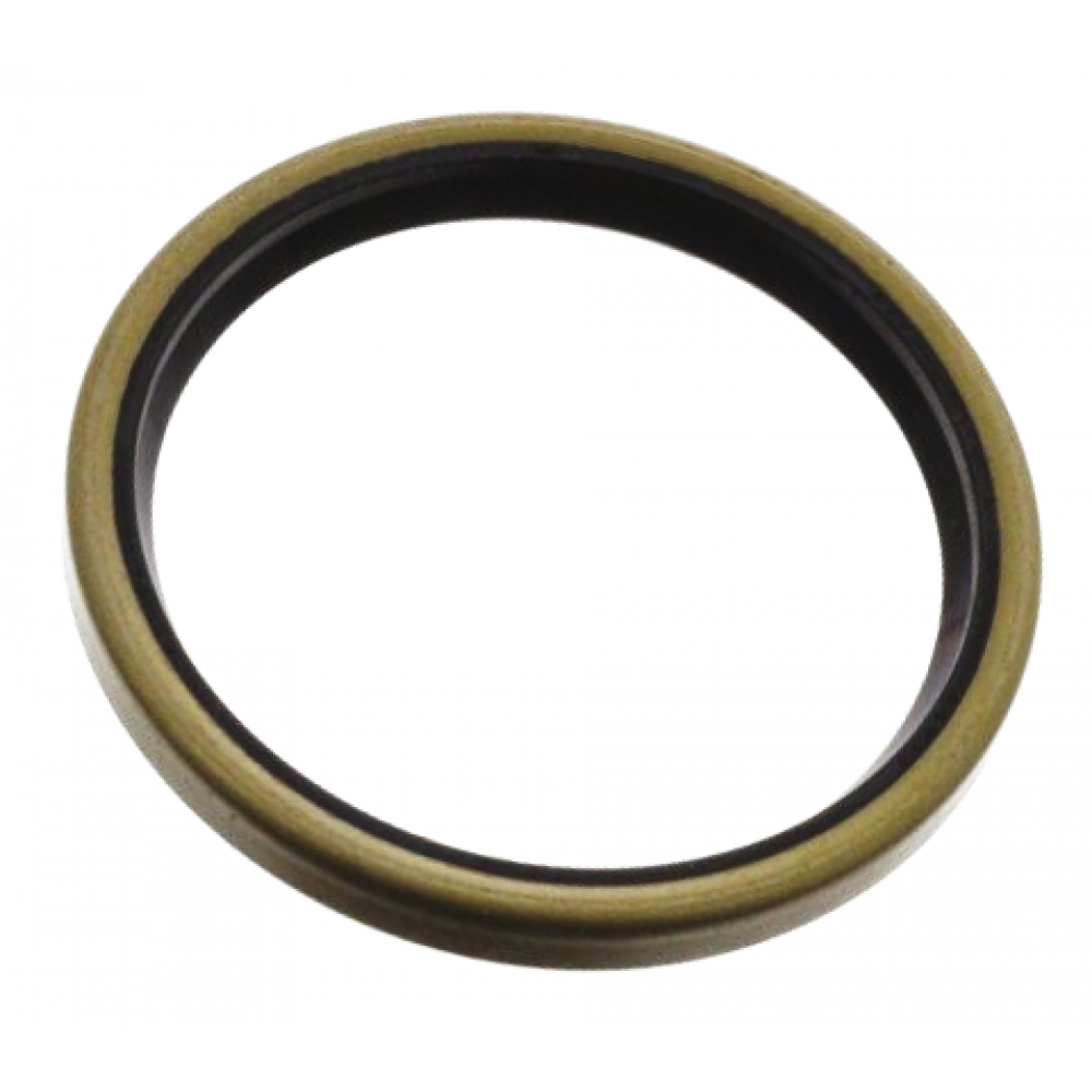 Seal 60X72X8