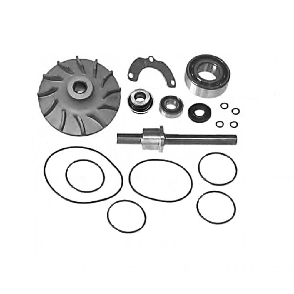 Repair kit for water pump TD102 / 103 VL