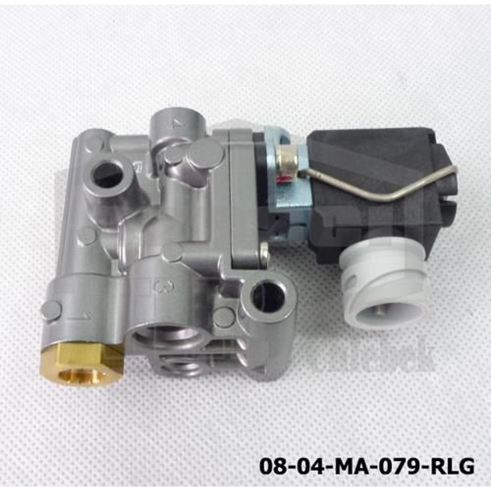 Electrovalve EGR MAN