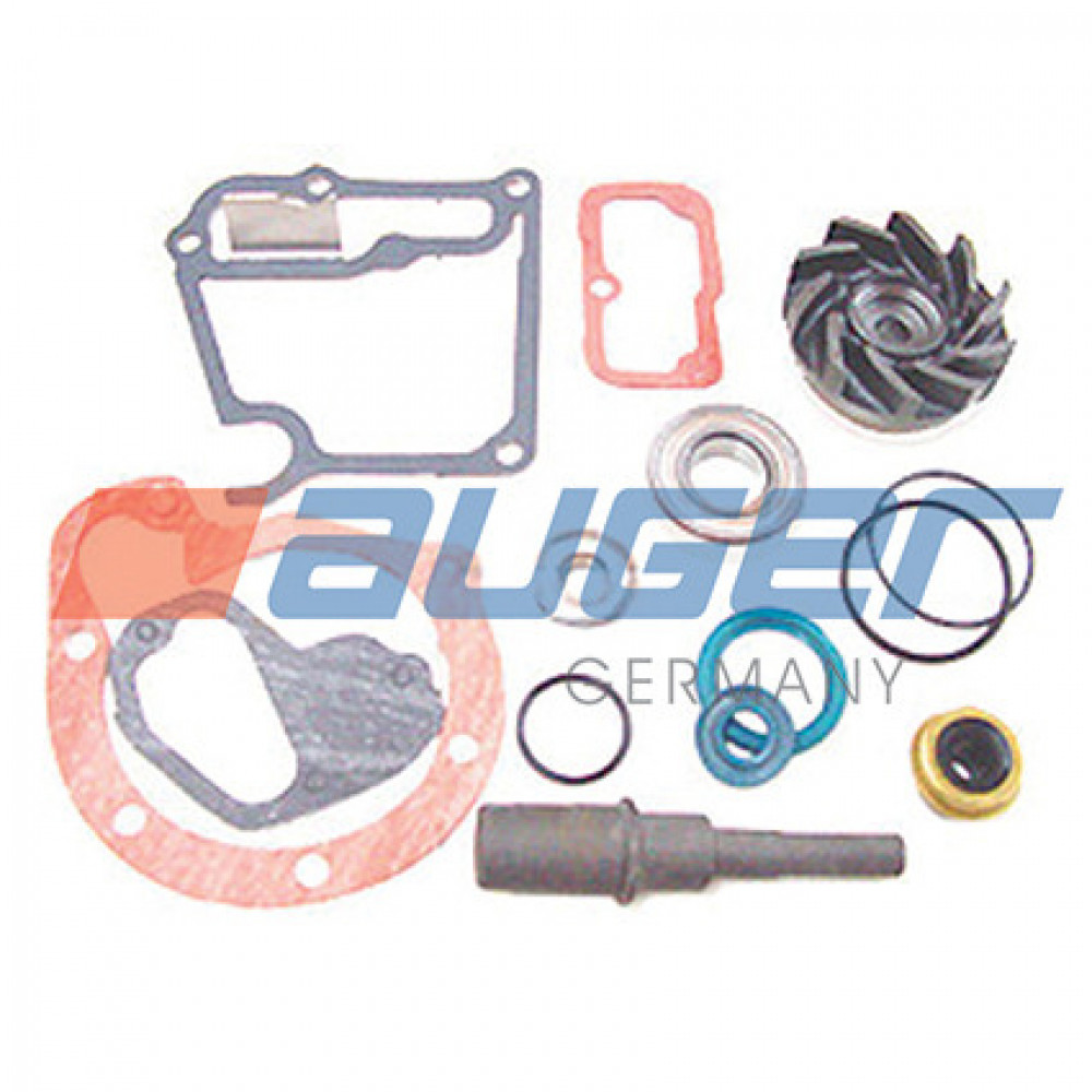 Water pump repair kit OM364