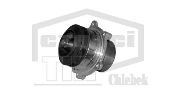 Water pump DAF-XF105 - 36246