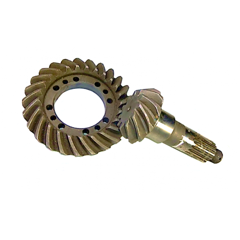 Gears 25/11-5551-2402020 MAZ