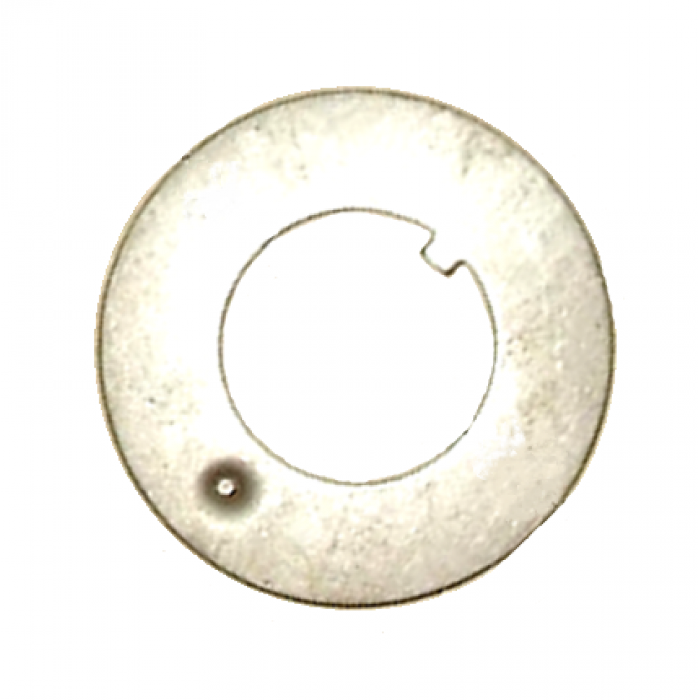 Washer  200-3001029 MAZ