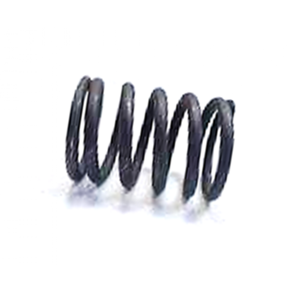 Valve spring 1007020-740